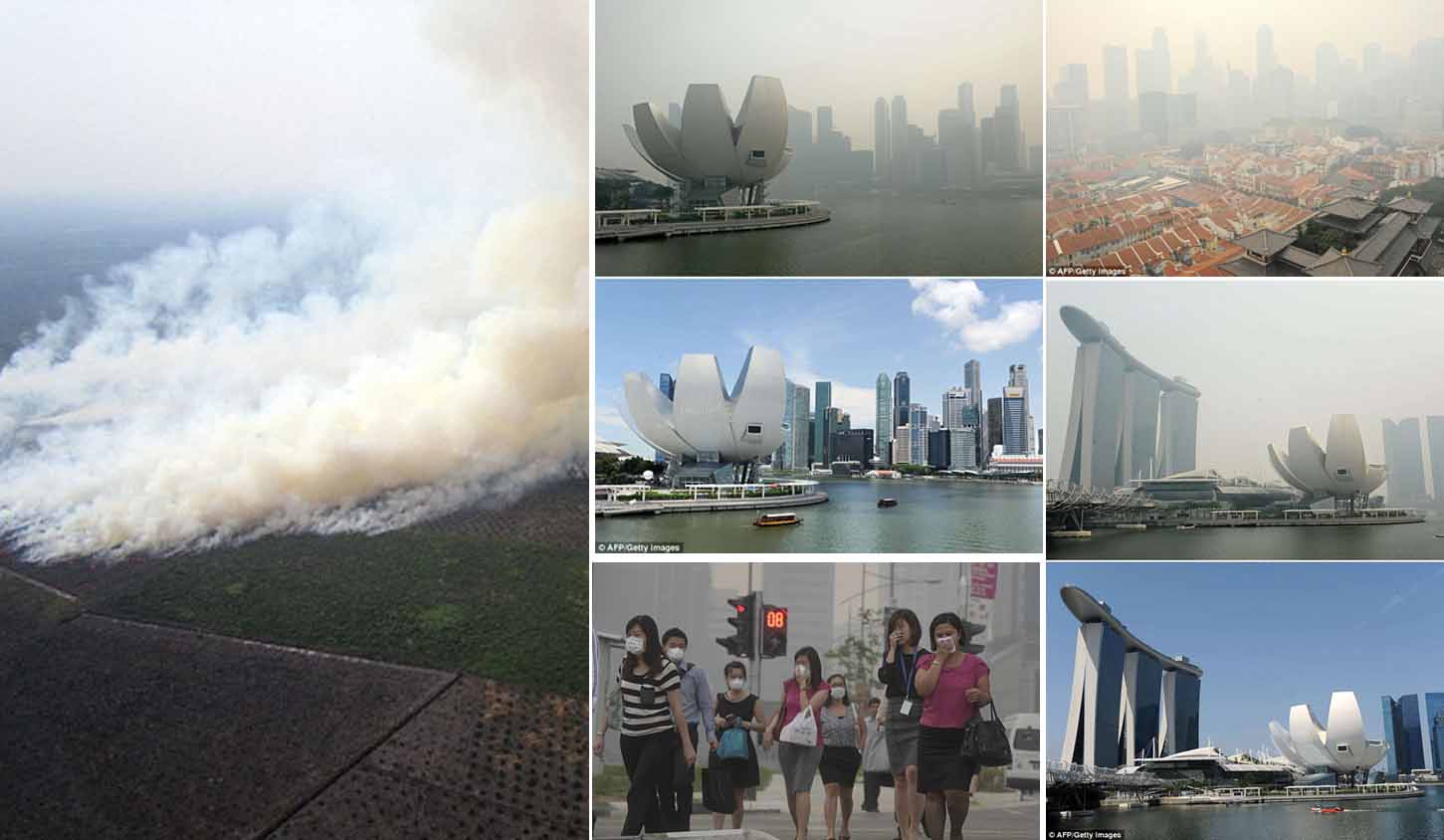 Kebakaran Hutan, 1.400 Personil TNI Dikerahkan